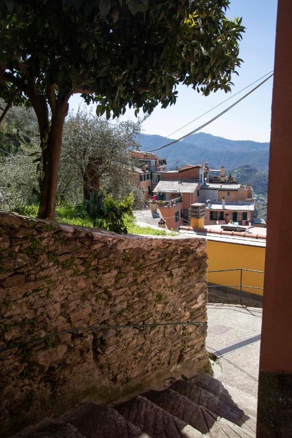 Le Case Di Petra Vignana Экстерьер фото